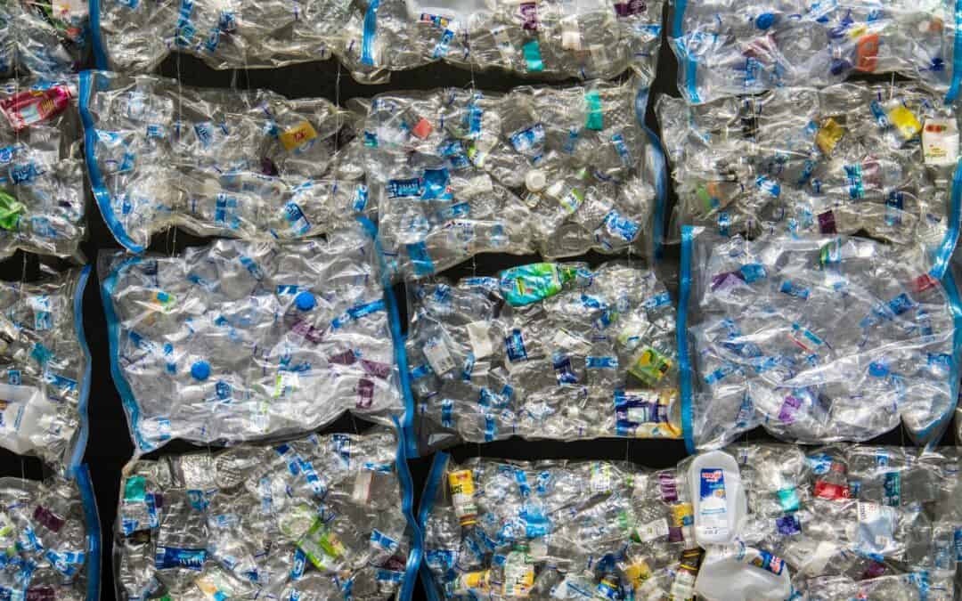 Die neue EU-Verpackungsverordnung (PPWR)