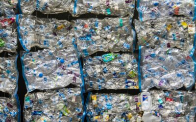 Die neue EU-Verpackungsverordnung (PPWR)